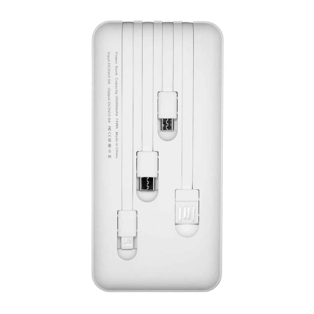 The Eagle USB Charger - Device Charger - Power Bank