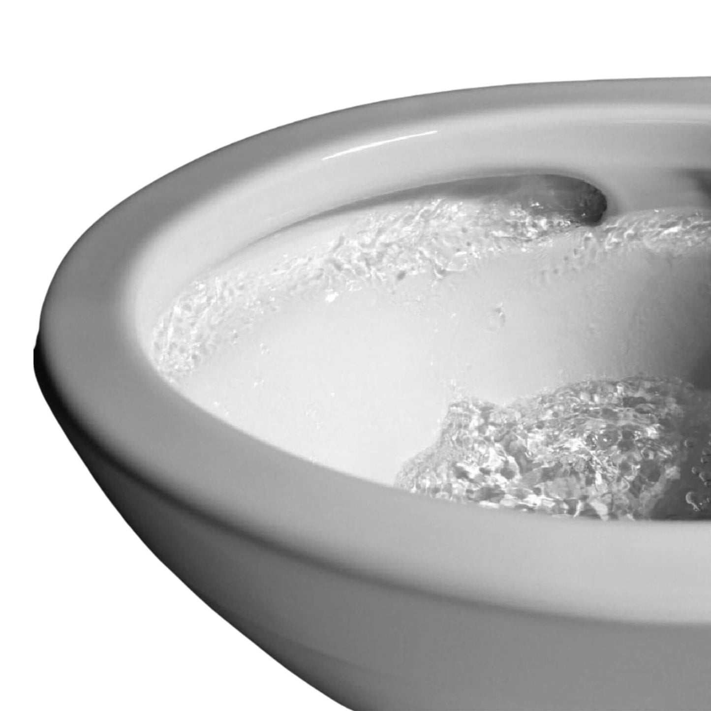 TOTO Ultramax II 1.28 GPF One Piece Elongated Toilet with Washlet C5 Bidet Seat