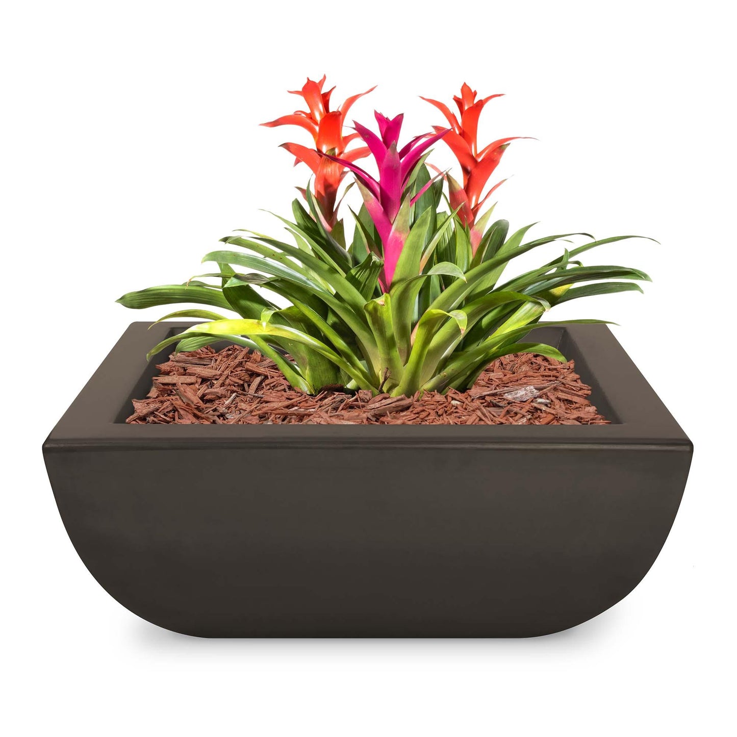 AvalonGFRCPlanter Chocolate