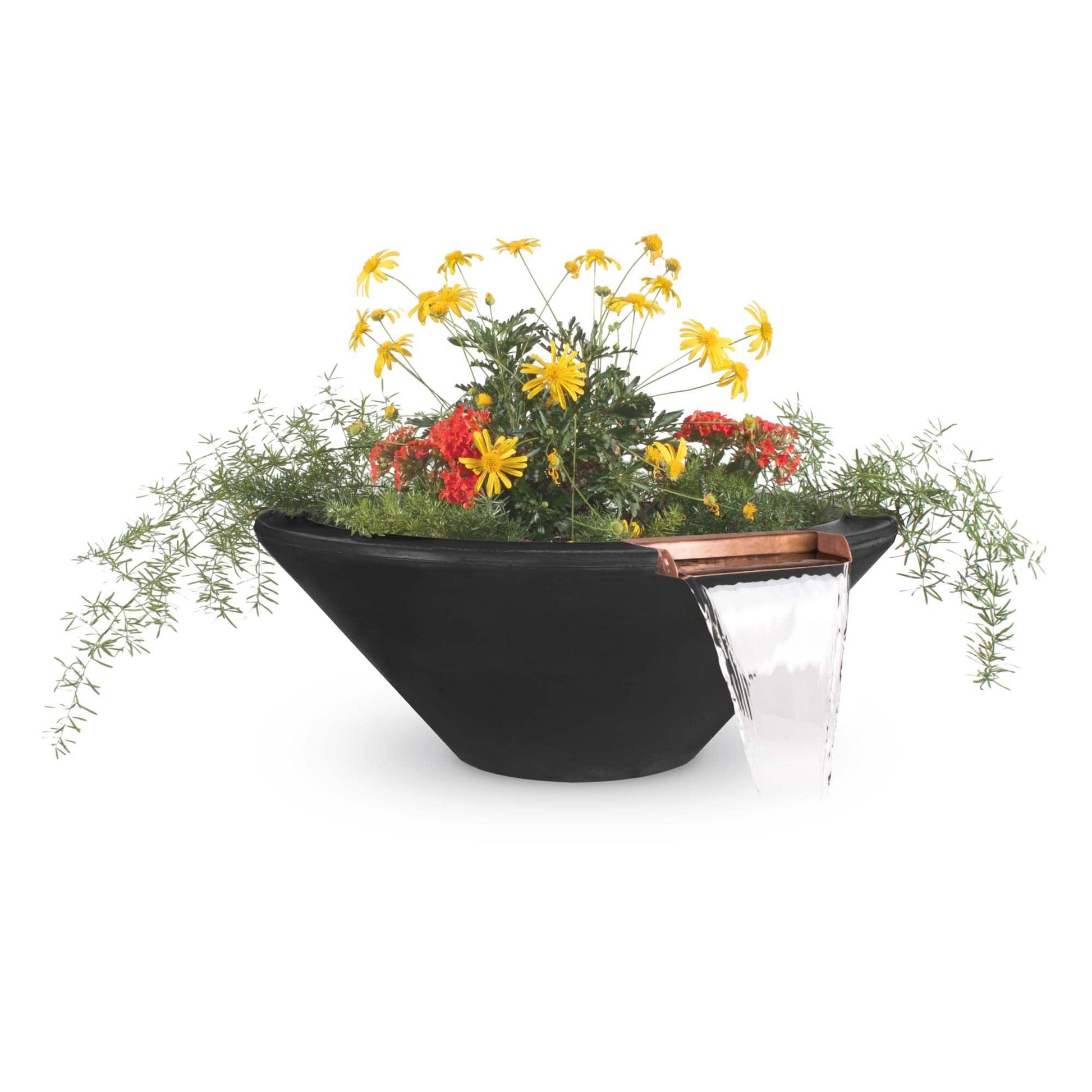 CazoPlanterBowlwithWater Black