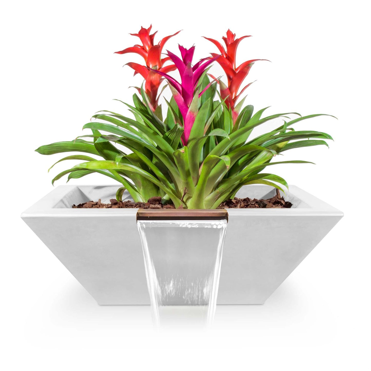 MayaGFRCPlanter