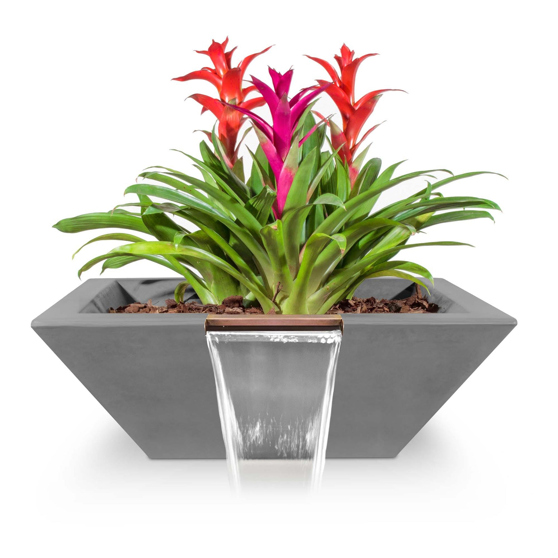 MayaGFRCPlanter