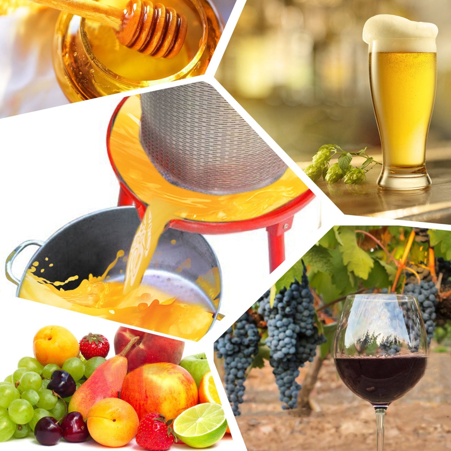 10-Gal Stainless Steel Hydraulic Fruit Wine Apple Press