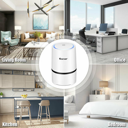 Mini Ionic  3-in-1 Composite HEPA Air Purifier