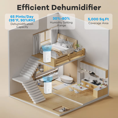 65 Pints Dehumidifier with 24H Timer and LED Display-White