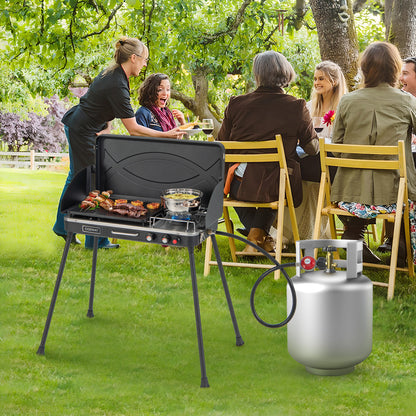 2-in-1 Gas Camping Grill and Stove with 4 Detachable Legs