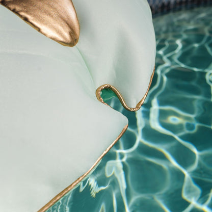 Sand Dollar Float