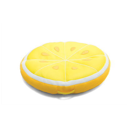 Fruit Slice Large Float