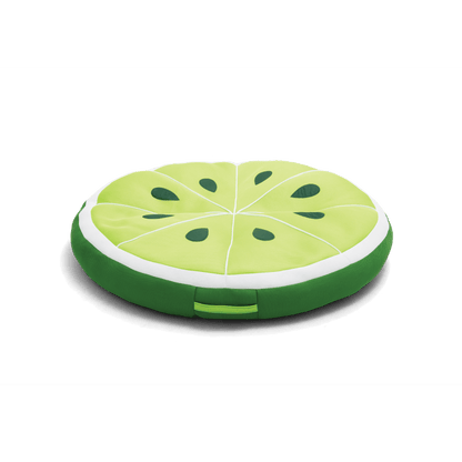Fruit Slice Large Float