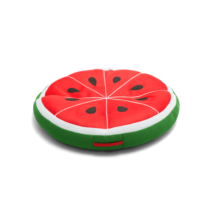 Fruit Slice Large Float