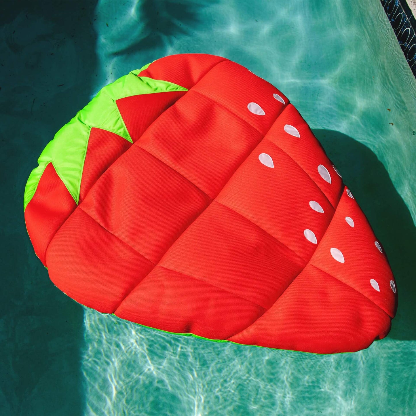 Fruit Float - Strawberry or Pineapple