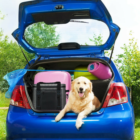 Portable Cooler Bag Leak-Proof Insulated Water-Resistant for Camping