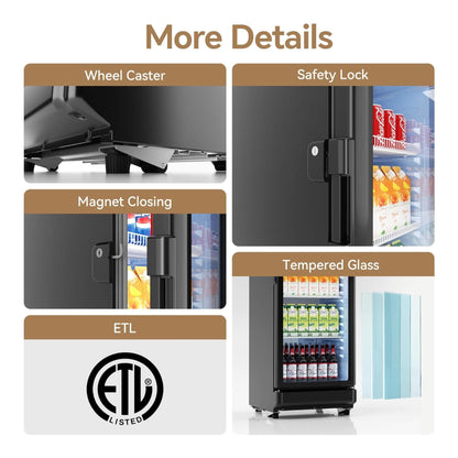 6.0 Cu.Ft Commercial Beverage Refrigerator with Glass Door and Adjustable Shelves