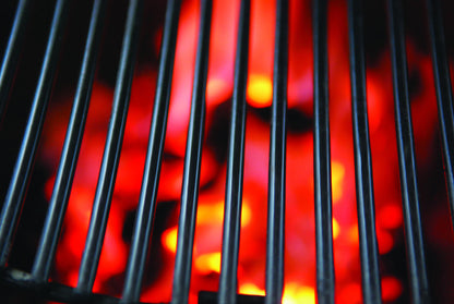 All In One Primo Ceramic Grills