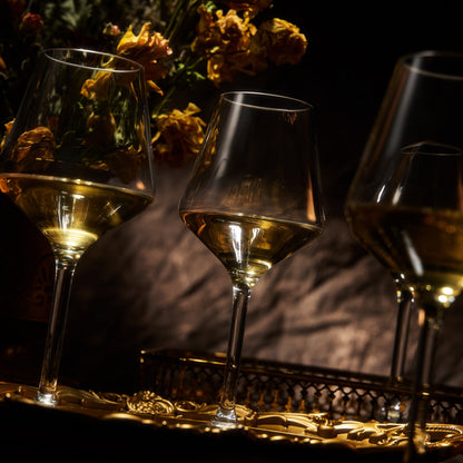 Barcelona Acrylic Stemmed Wine Glassware, Set of 4