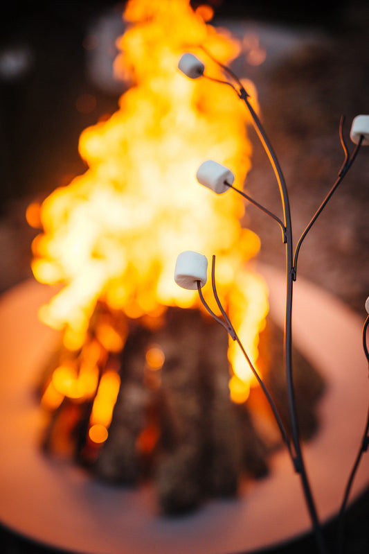 Marshmallow Roasting Stick