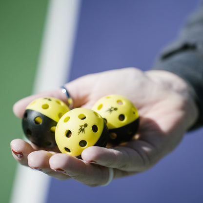 Moment Pickleblasters 2-Color Mini Plastic Indoor/Outdoor Practice Balls for Pickleball Training