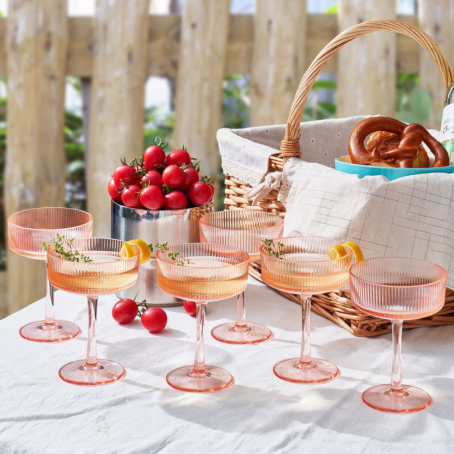 Madrid Acrylic Champagne Coupe Cocktail Glassware, Set of 6