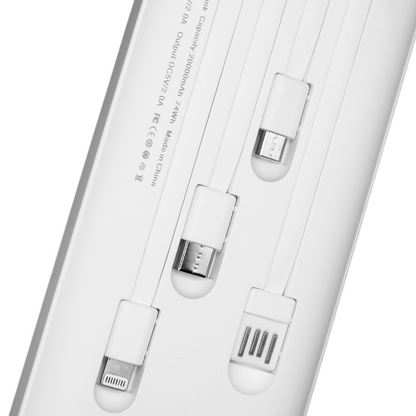 The Eagle USB Charger - Device Charger - Power Bank