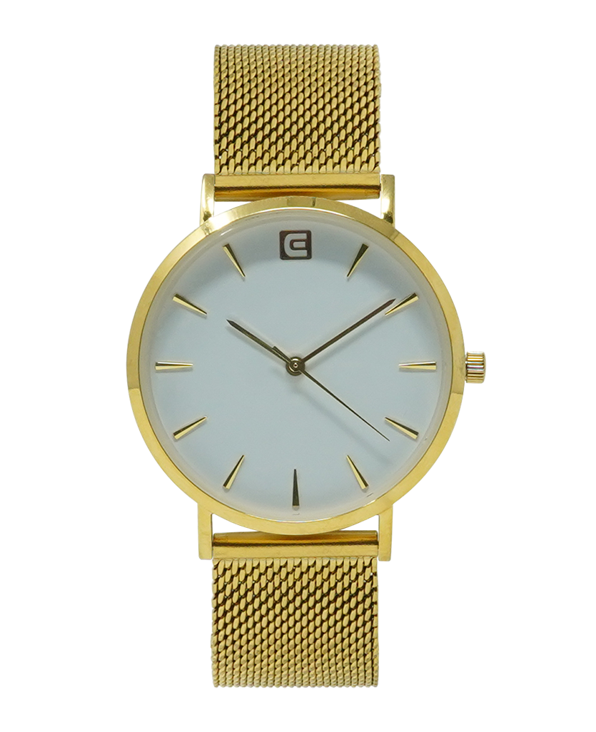 Voyager (Gold/White) Watch