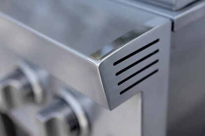 Atlas Built-In Double Side Burner