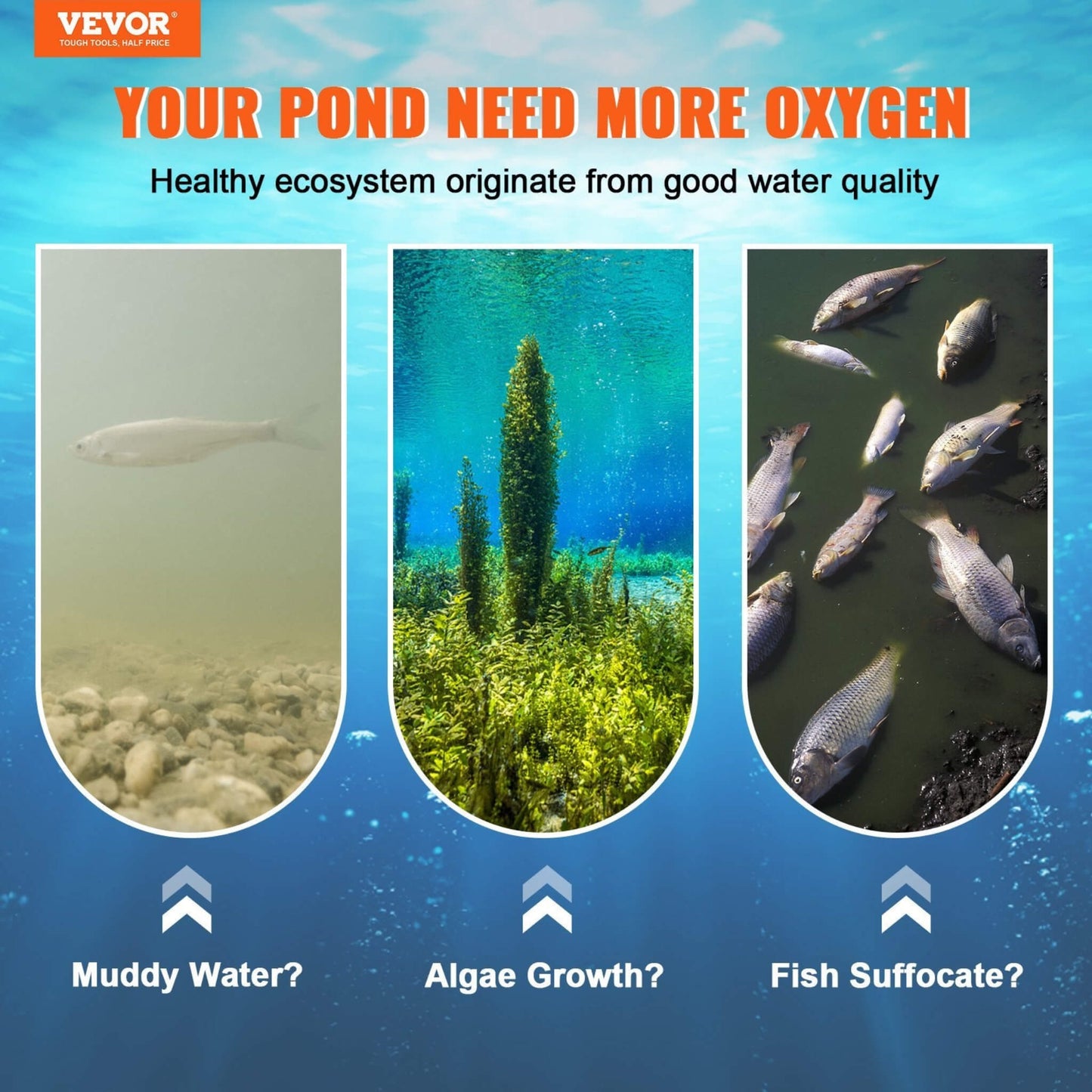 Heavy-Duty Pond Aerator Kit with Compressor, Diffusers and Weighted Tubing
