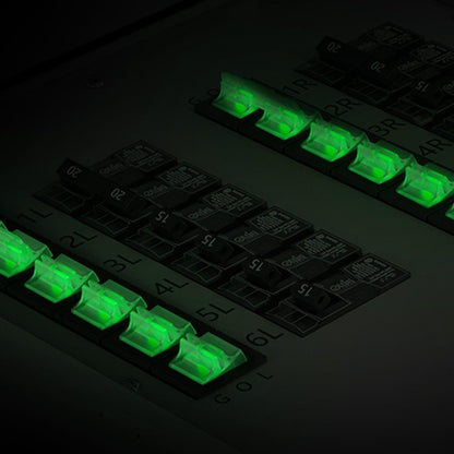 Nature's Generator 12-Circuit 120/240V 30A Non-Automatic Power Transfer Switch