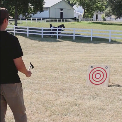 Mini Axe Throw Set