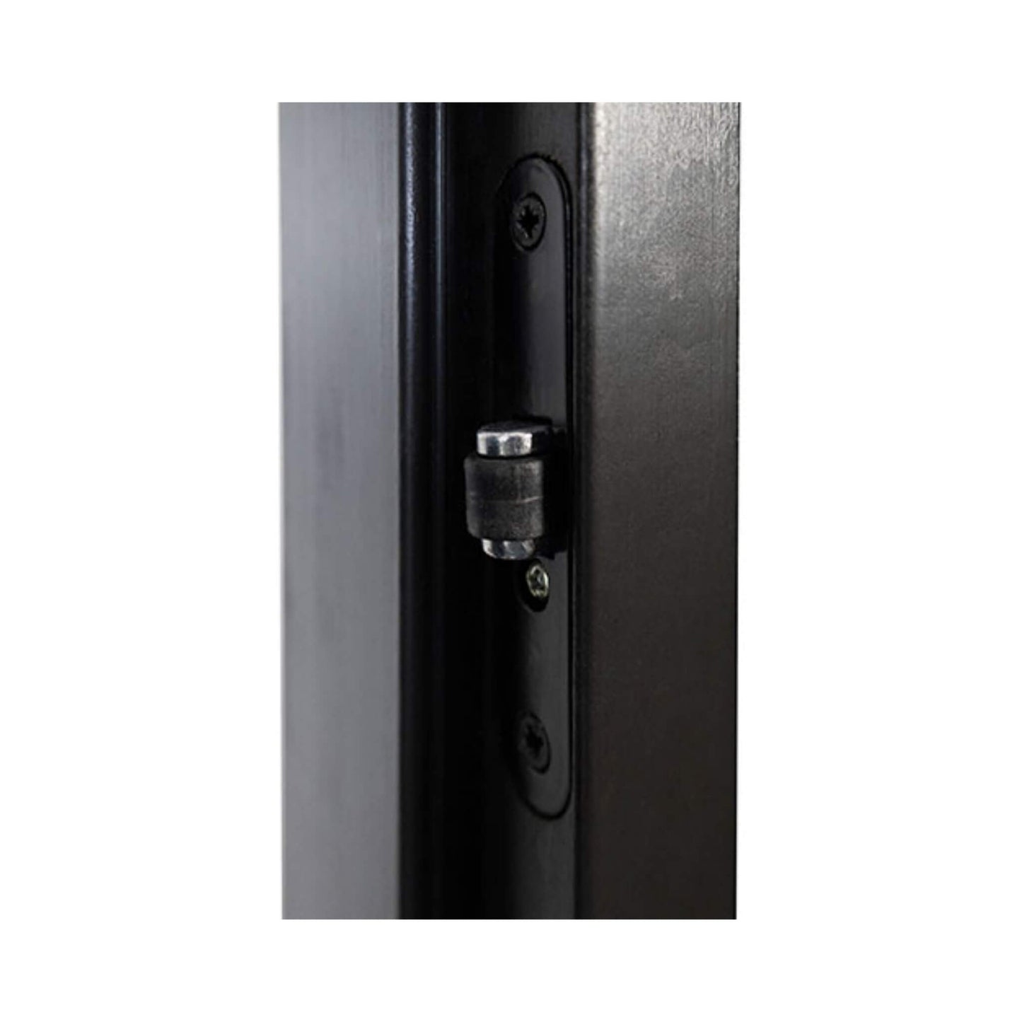 Prosaunas 24" x 81" Black Alder Tinted Glass Sauna Door