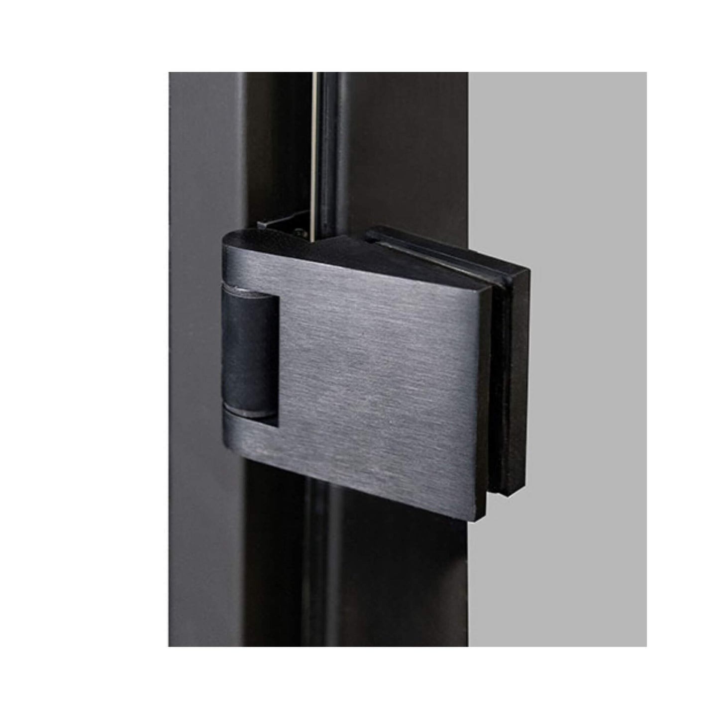 Prosaunas 24" x 81" Black Alder Tinted Glass Sauna Door