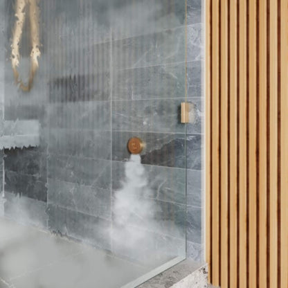 ThermaSol SignaTouch Flushmount 5-Inch Digital Shower Steam Control Package With Serenity 10